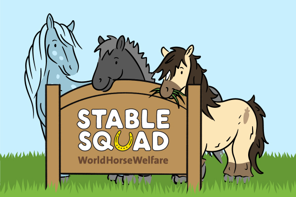 Stable squad