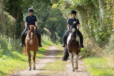 Two horses and riders walking down a country lane