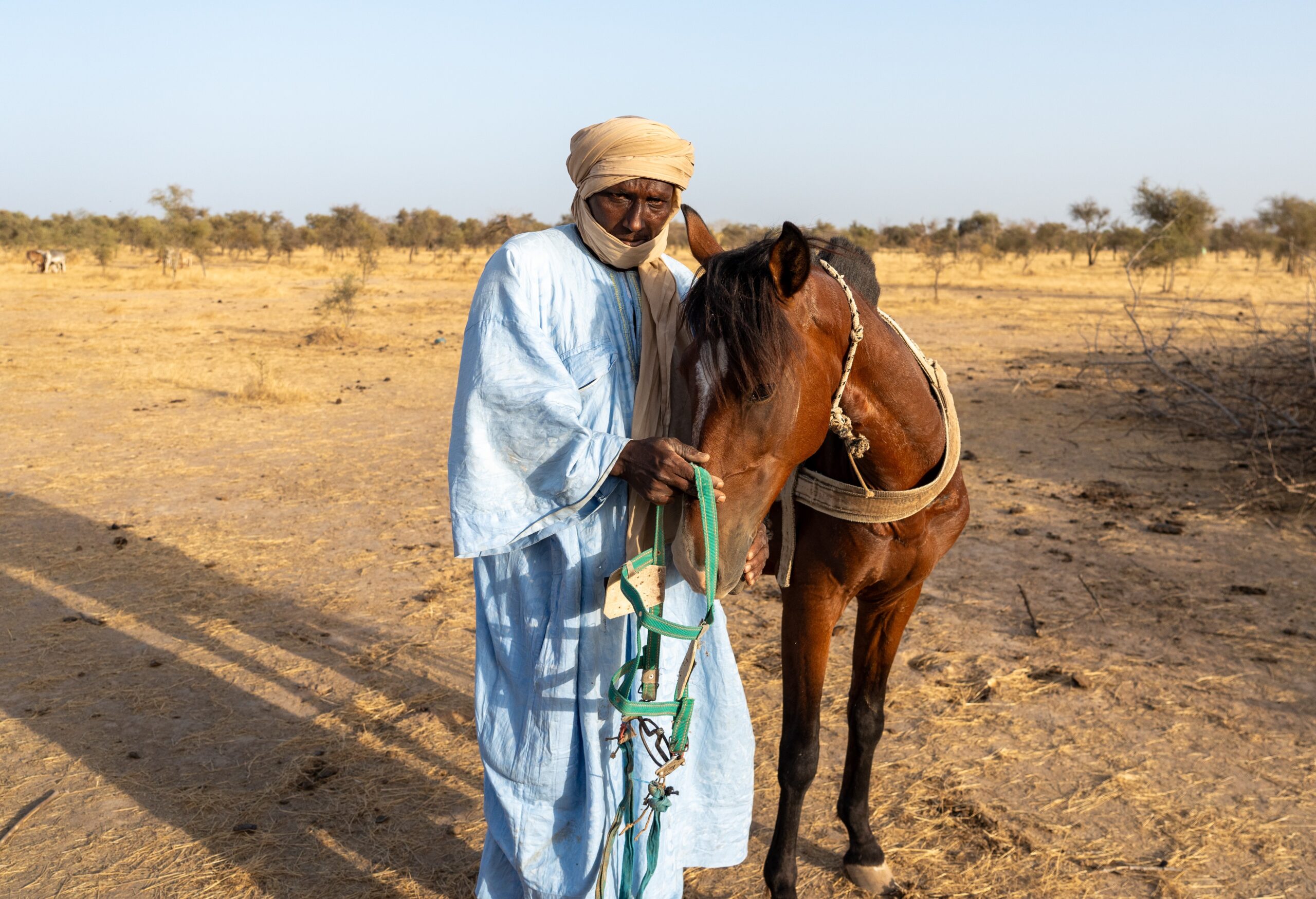 New documentary highlights climate change threat to lives of farmers and their horses in Senegal