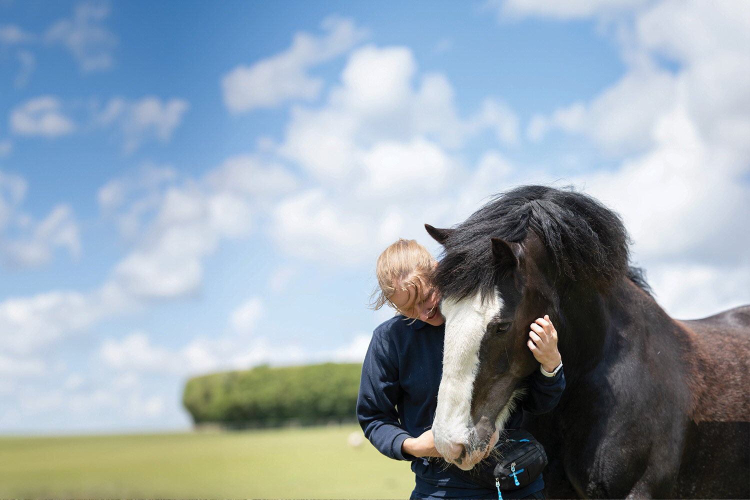 Birth of first foal from rescued ‘smuggled’ Dover 26 horses