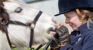 Horse running in a field