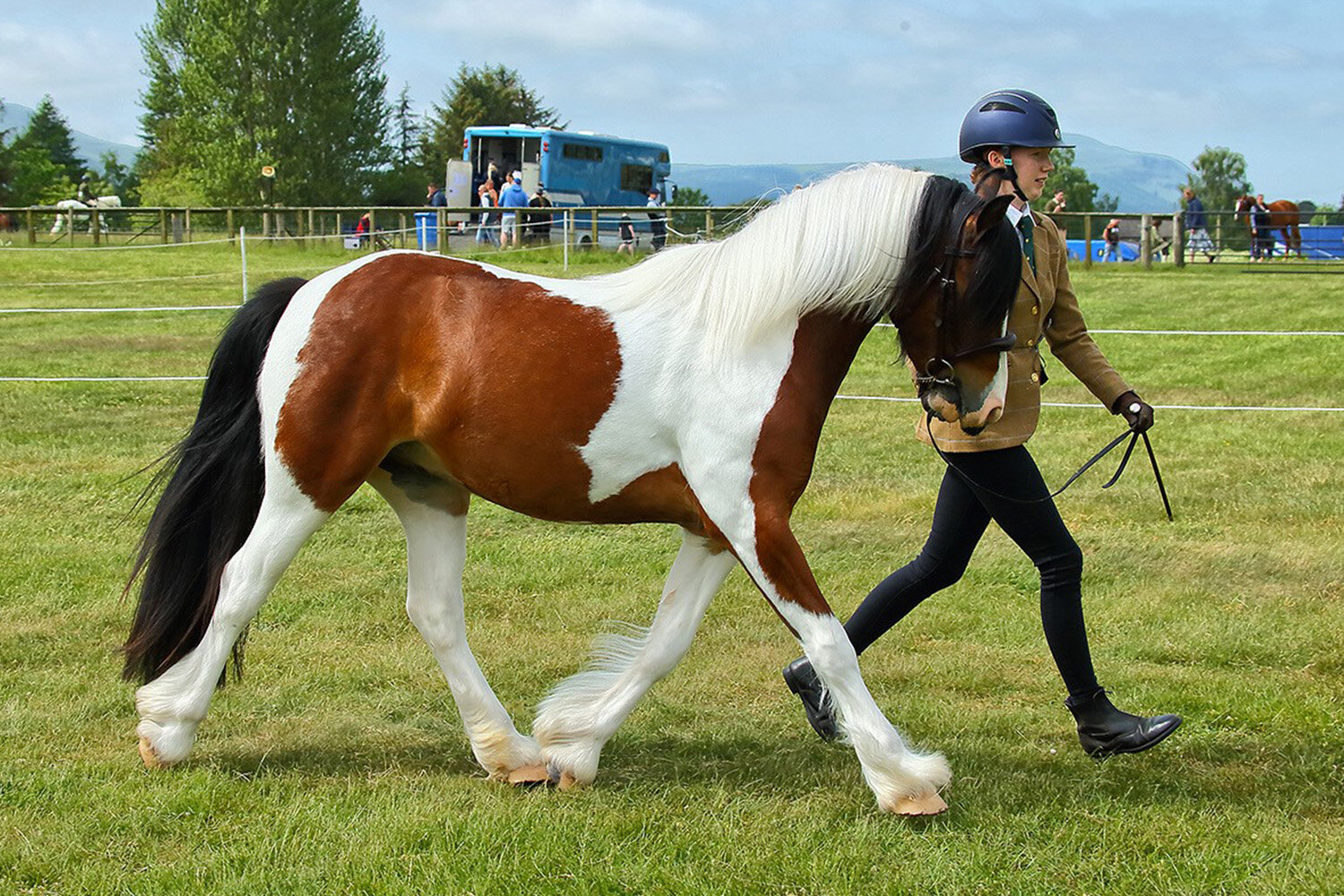 Birth of first foal from rescued ‘smuggled’ Dover 26 horses