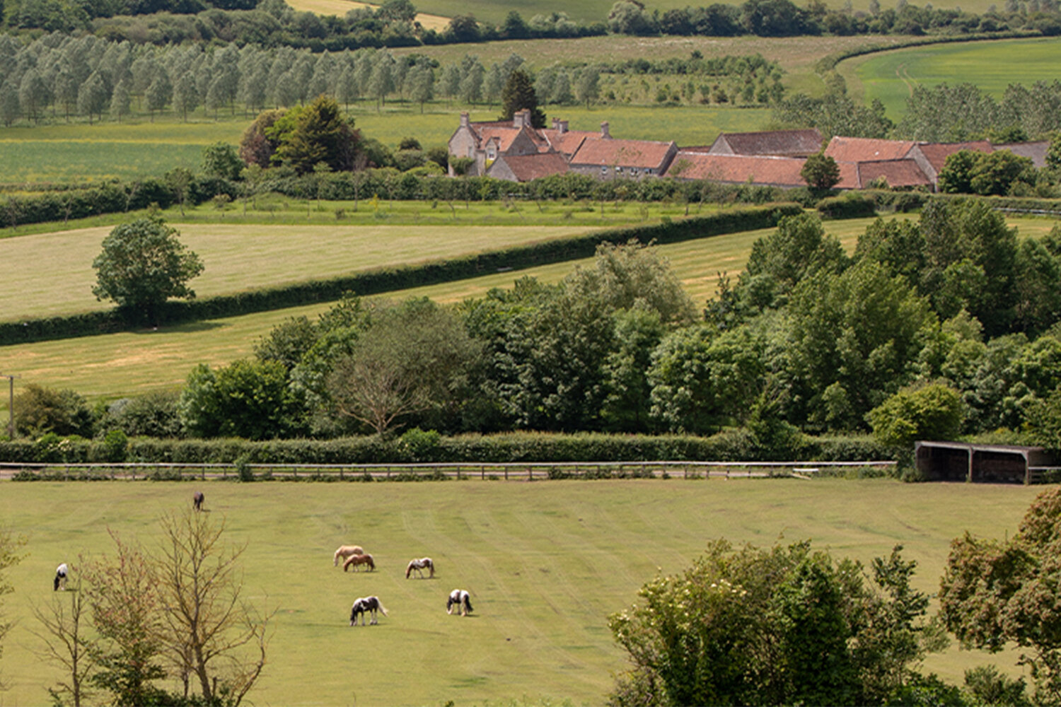 Environmental sustainability: Equine Carbon Calculator