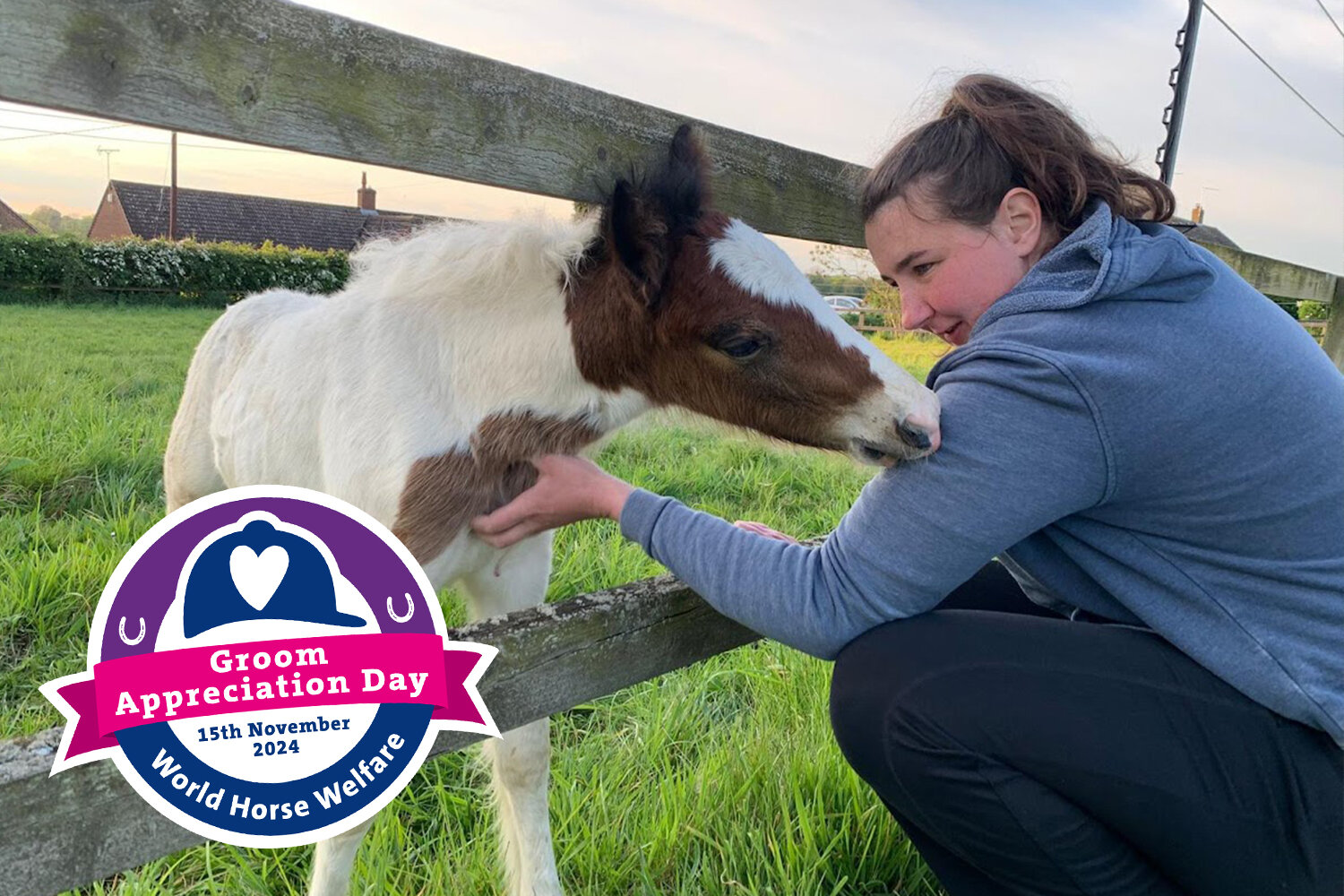 Meet some of our often-unsung heroes on Groom Appreciation Day &#8211; Kathryn at Hall Farm 