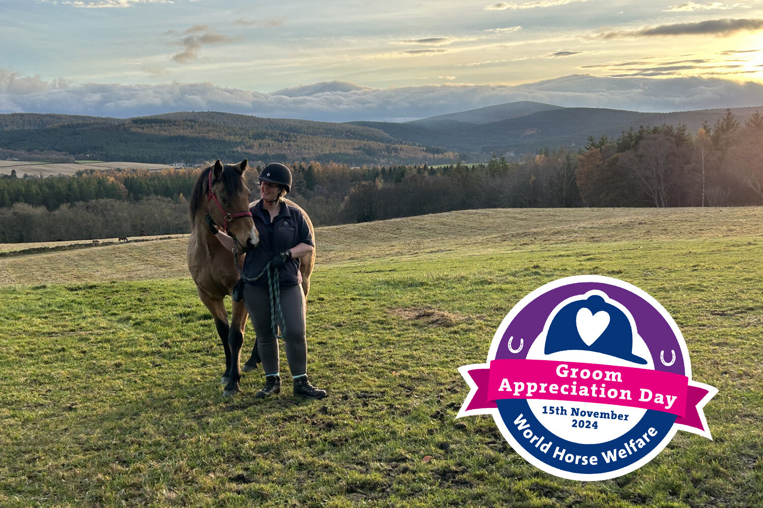 Birth of first foal from rescued ‘smuggled’ Dover 26 horses