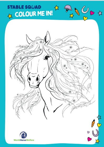 Stable Squad colour me in graphic of a horse with a flowing mane with the Word Horse Welfare logo and a bright turquoise edging.