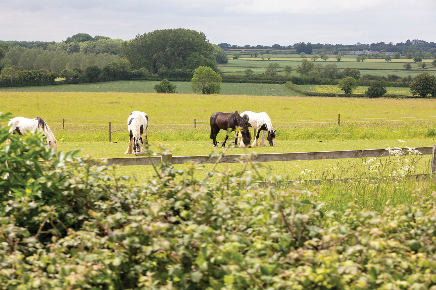 Sustainable equestrianism: making the management of our horses more environmentally friendly 