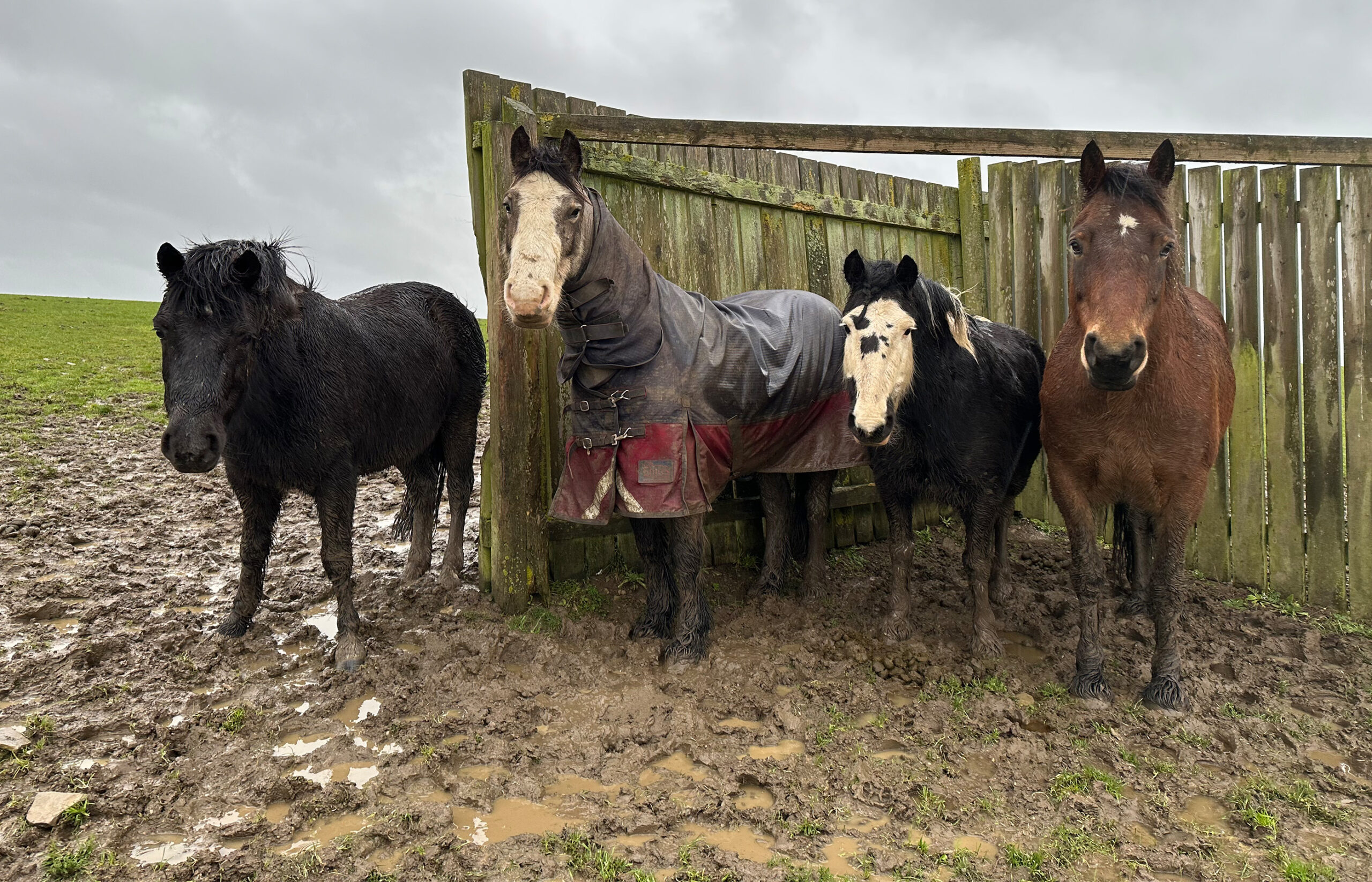 Our Somerton centre has reopened to visitors following devastating floods earlier this month