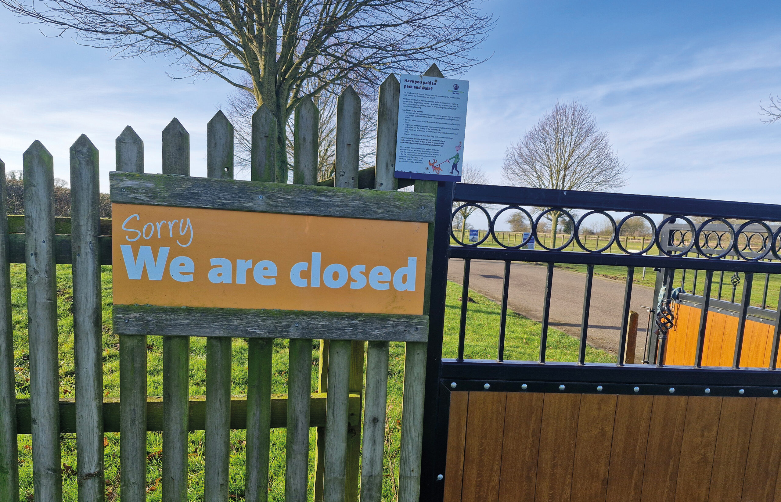 Strangles case identified at our Norfolk farm