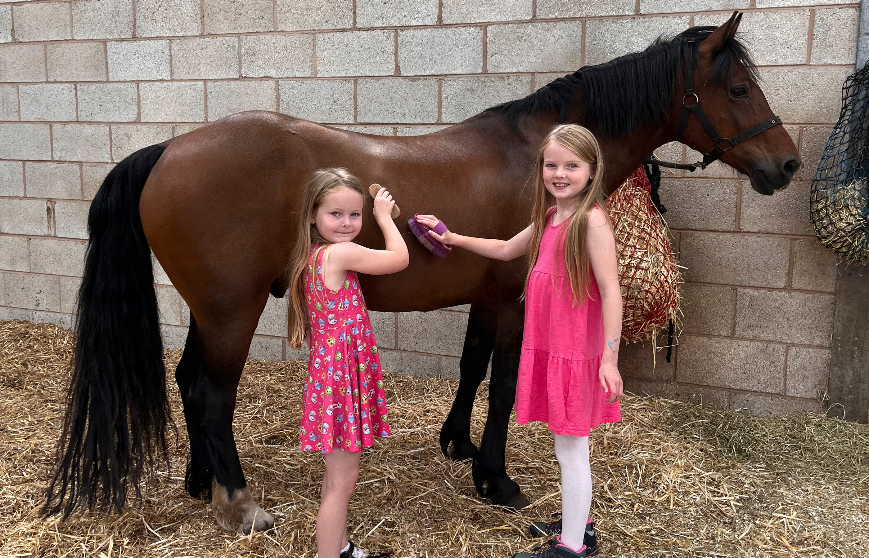 A horse stands in a stable with its head lowered over the door. A visitor is stroking the horses head, and beside them another visitor sits in a wheelchair.