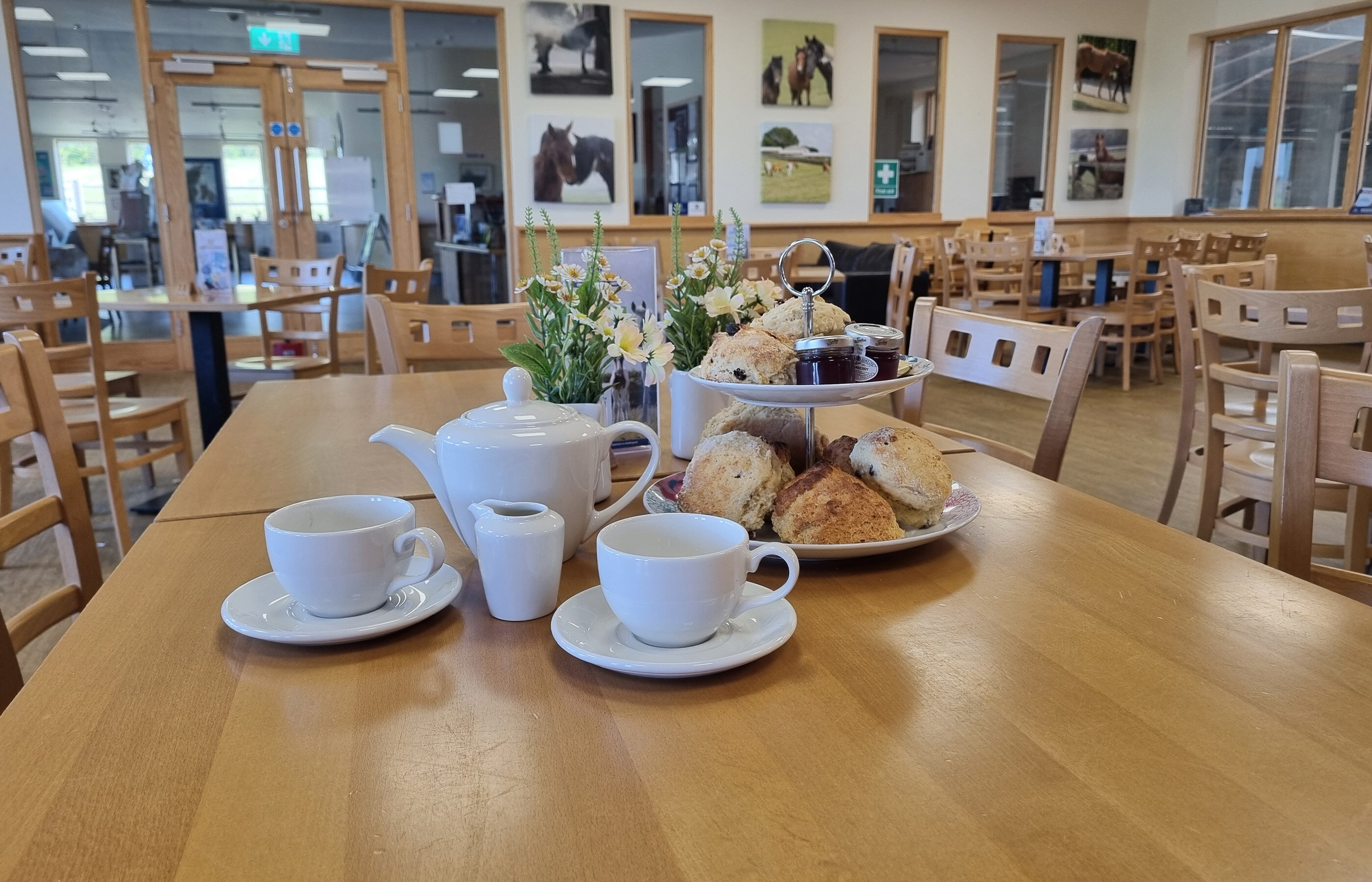 An afternoon tea set-up on a table in a cafe including scones, jars of jam, a pot of tea, a milk jug and tea cups and saucers.