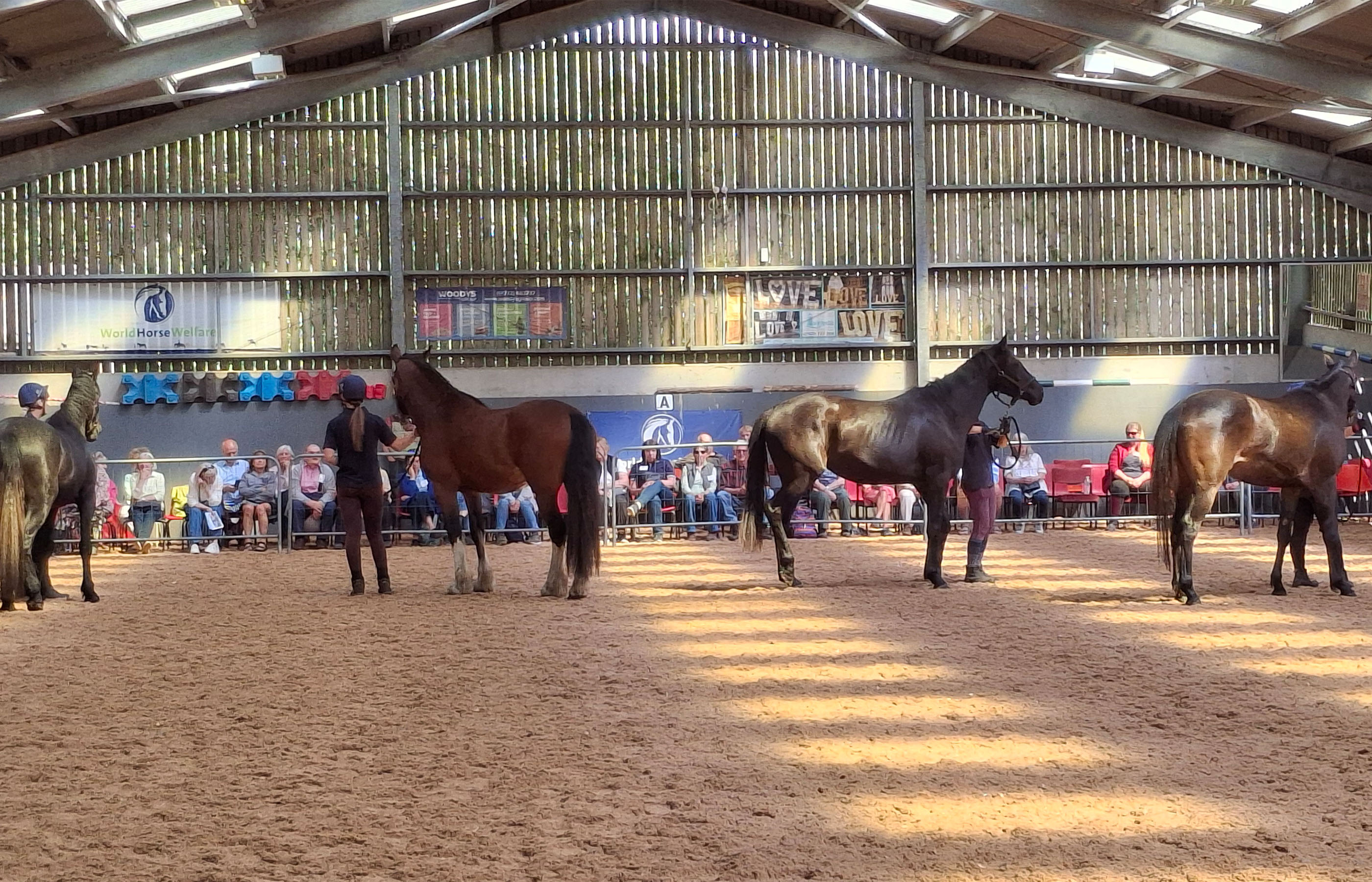 A horse stands in a stable with its head lowered over the door. A visitor is stroking the horses head, and beside them another visitor sits in a wheelchair.