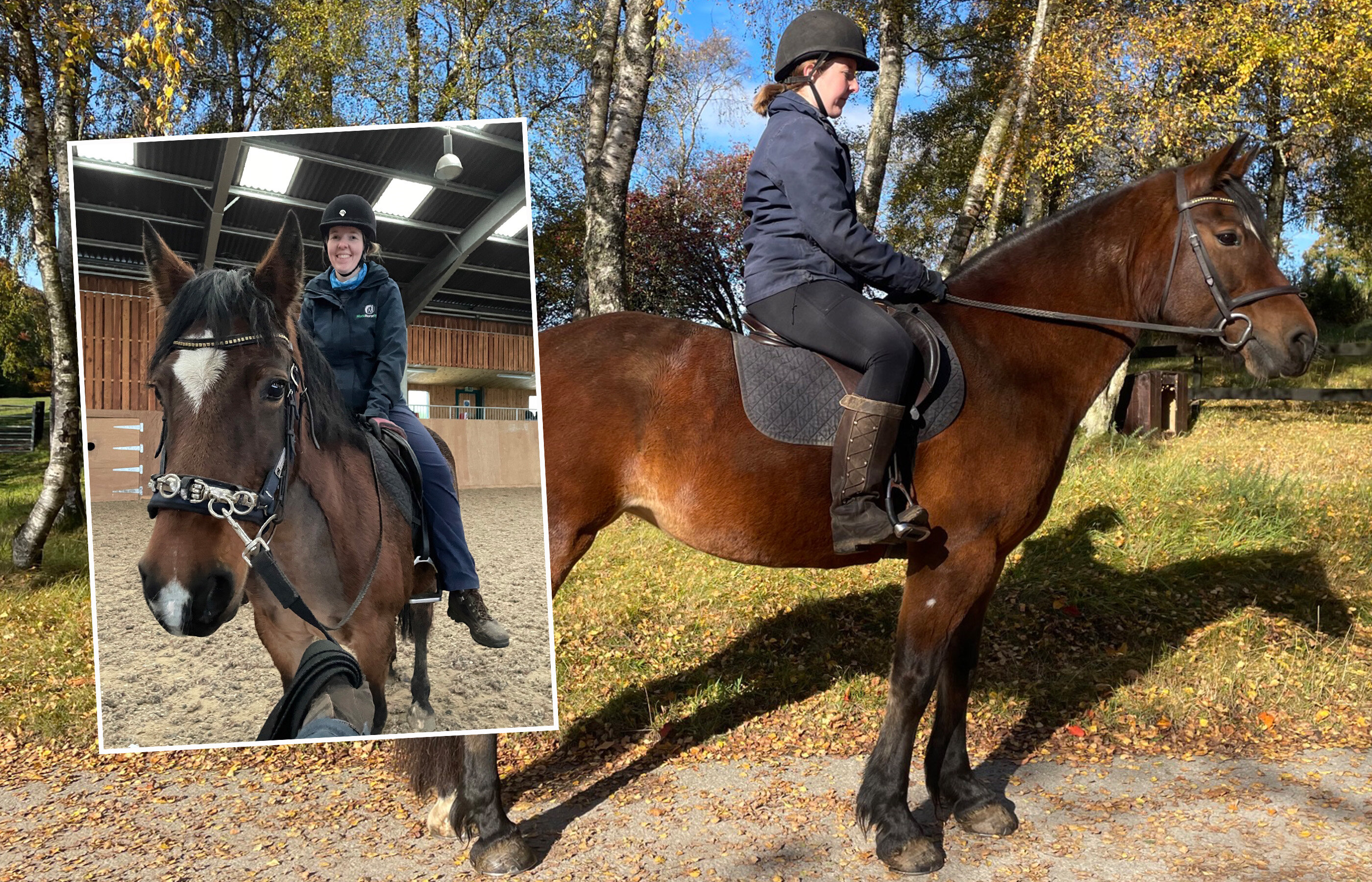 Training and backing horses in our care
