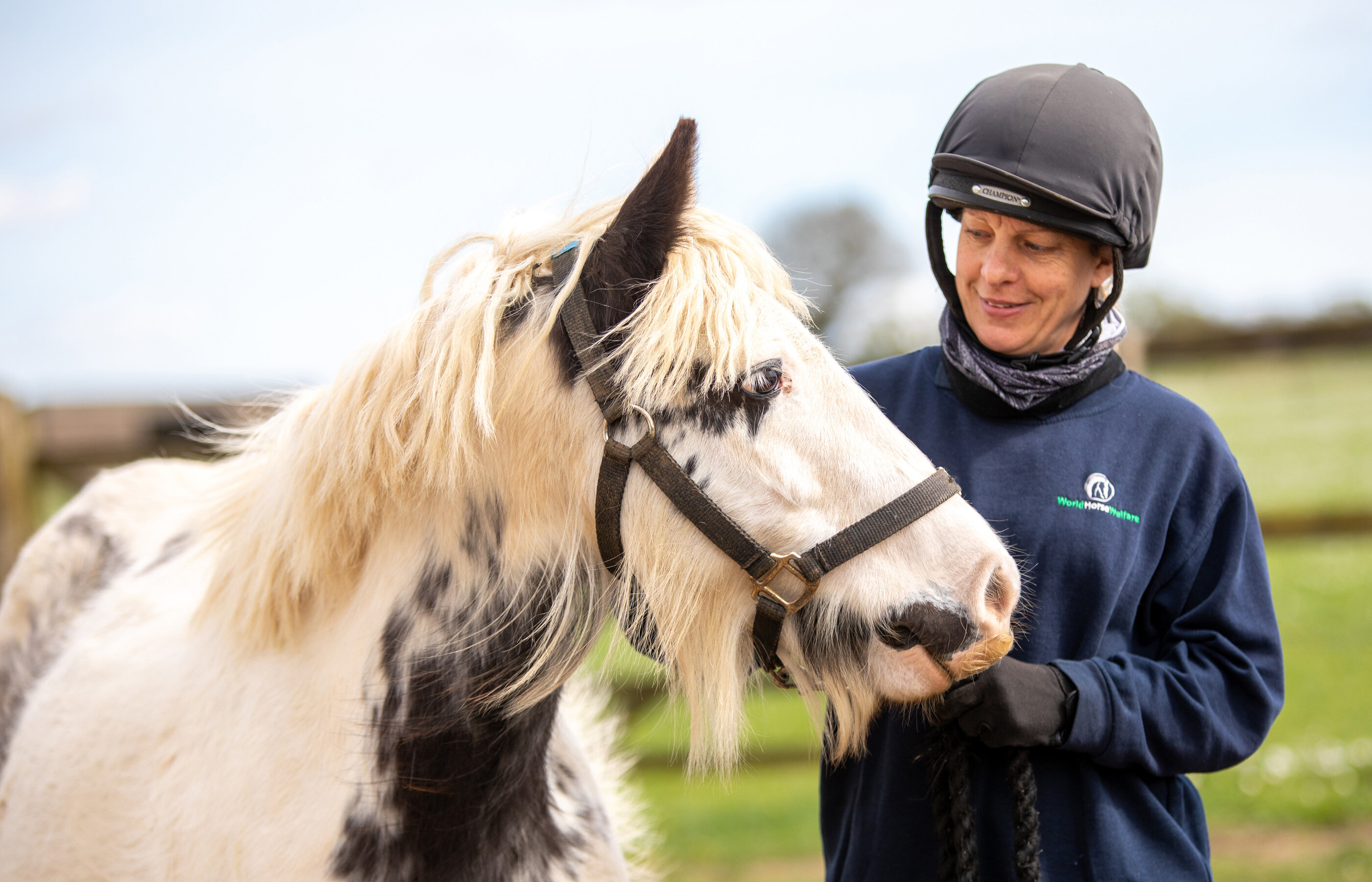 Birth of first foal from rescued ‘smuggled’ Dover 26 horses