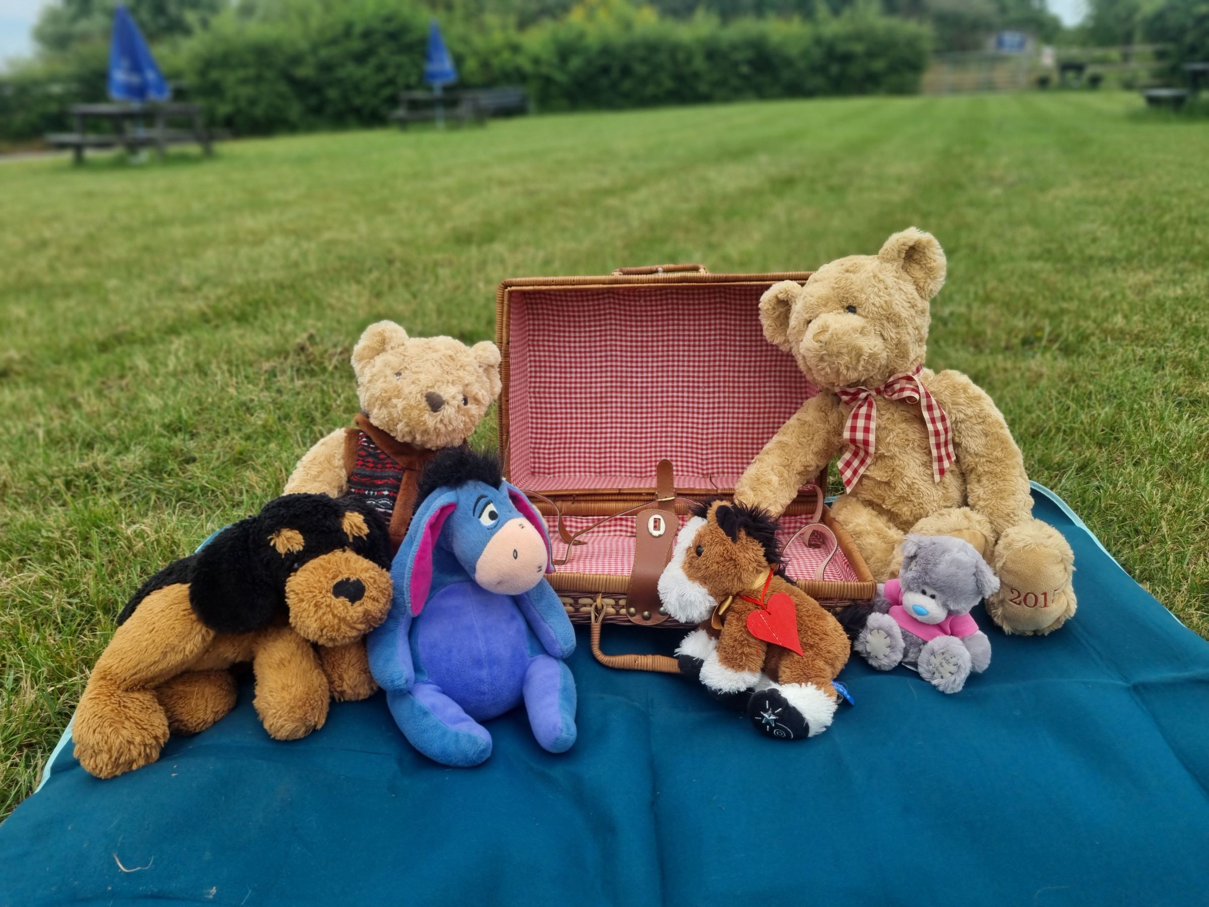Teddy bears picnic