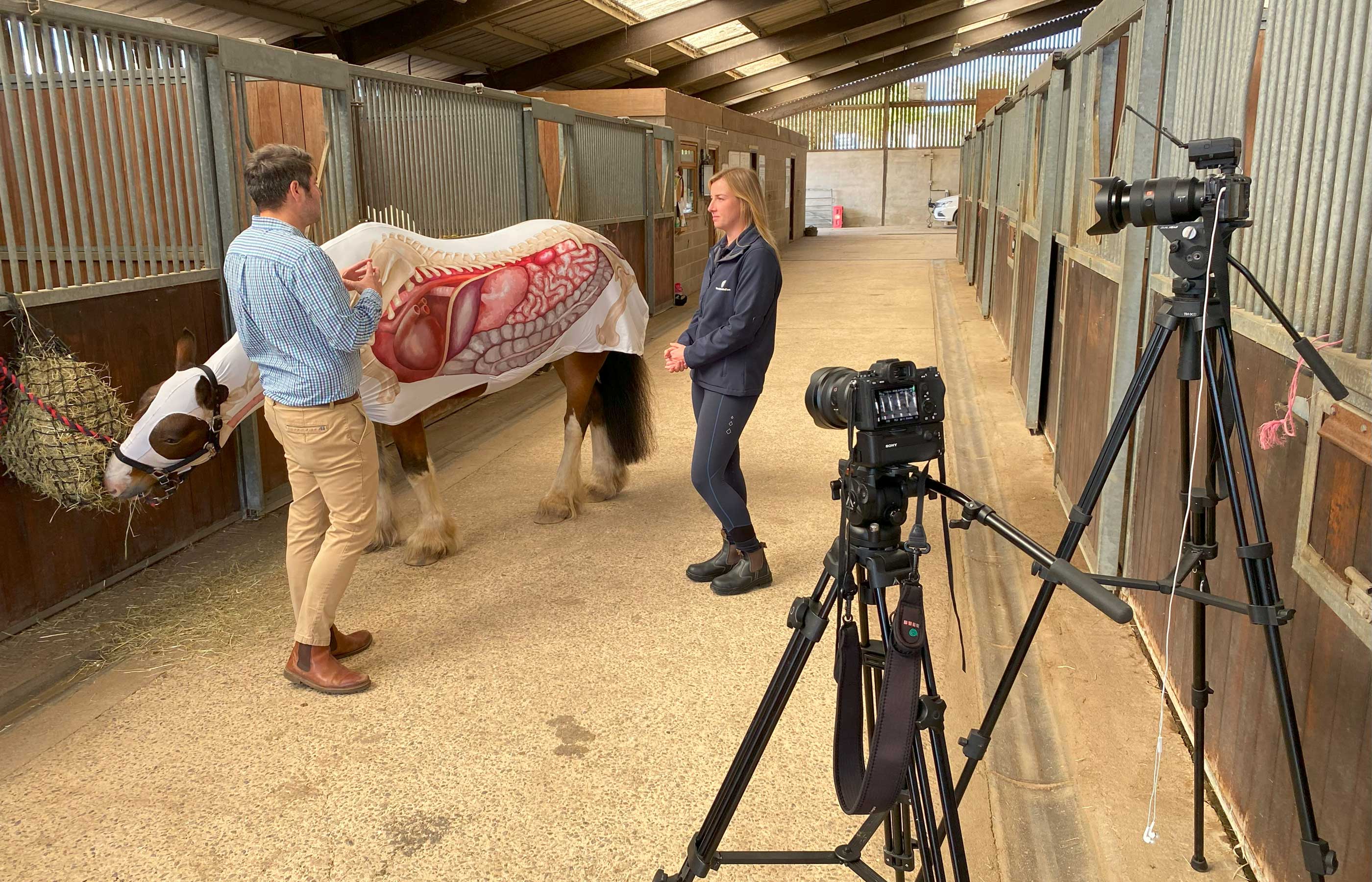 Weight management strategies for overweight horses World Horse Welfare