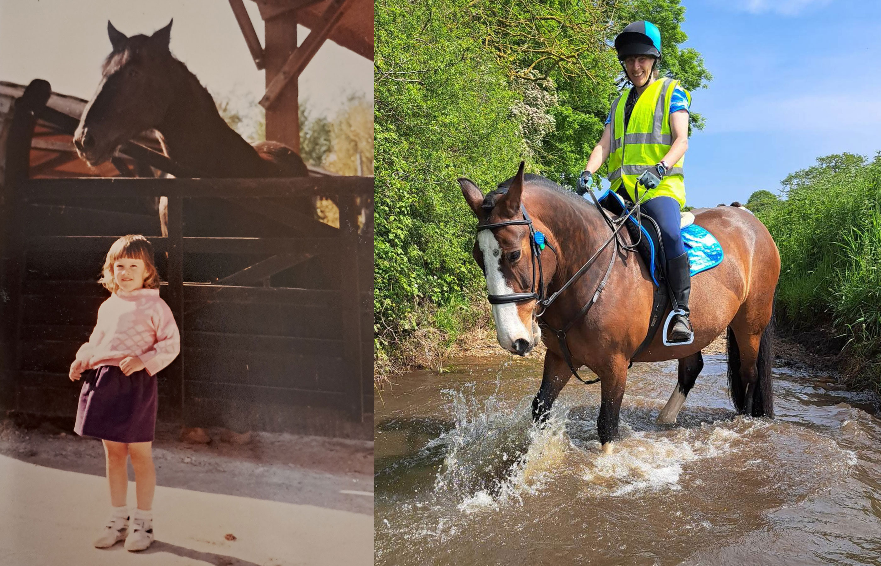 Birth of first foal from rescued ‘smuggled’ Dover 26 horses