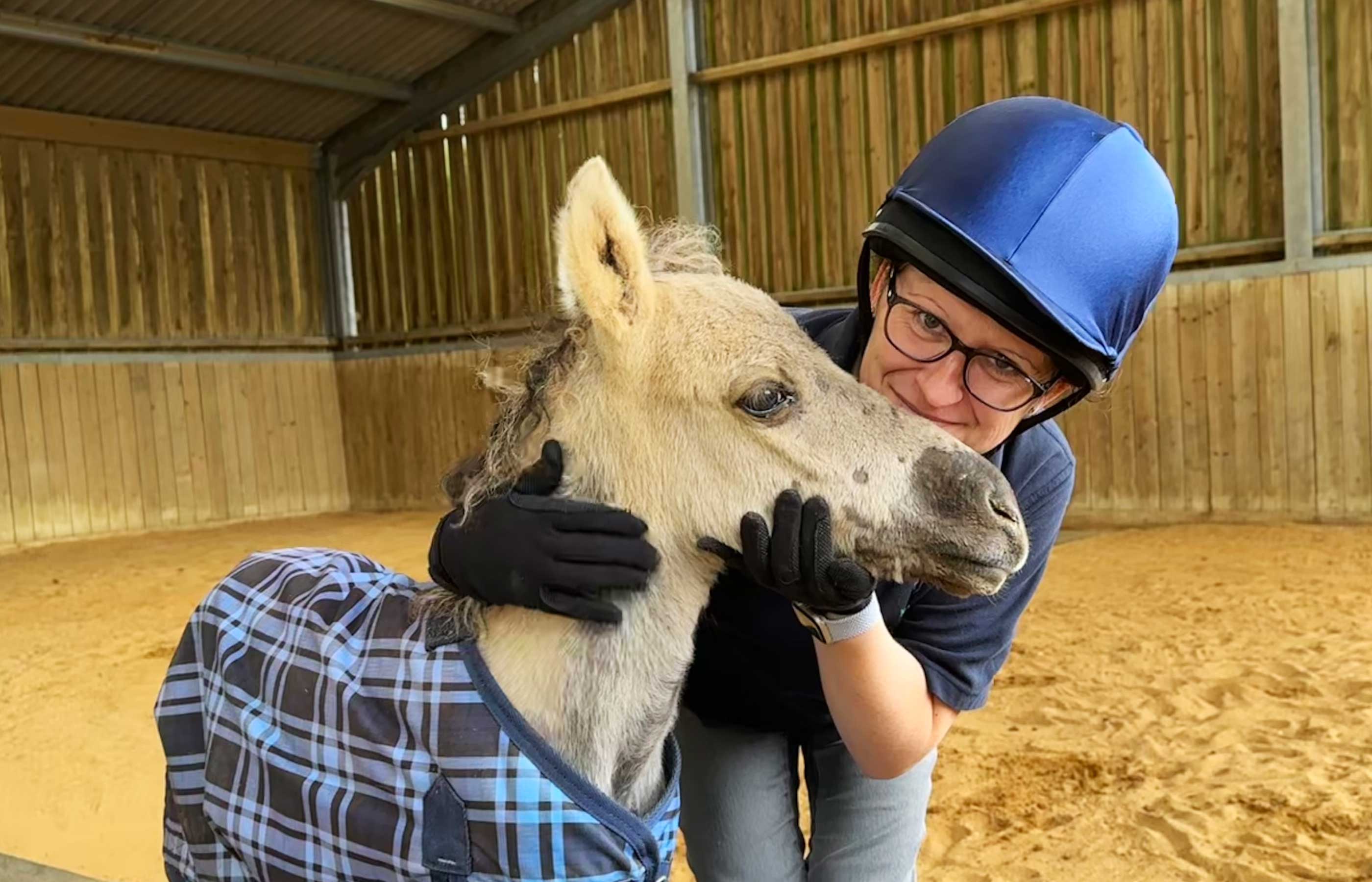 Birth of first foal from rescued ‘smuggled’ Dover 26 horses