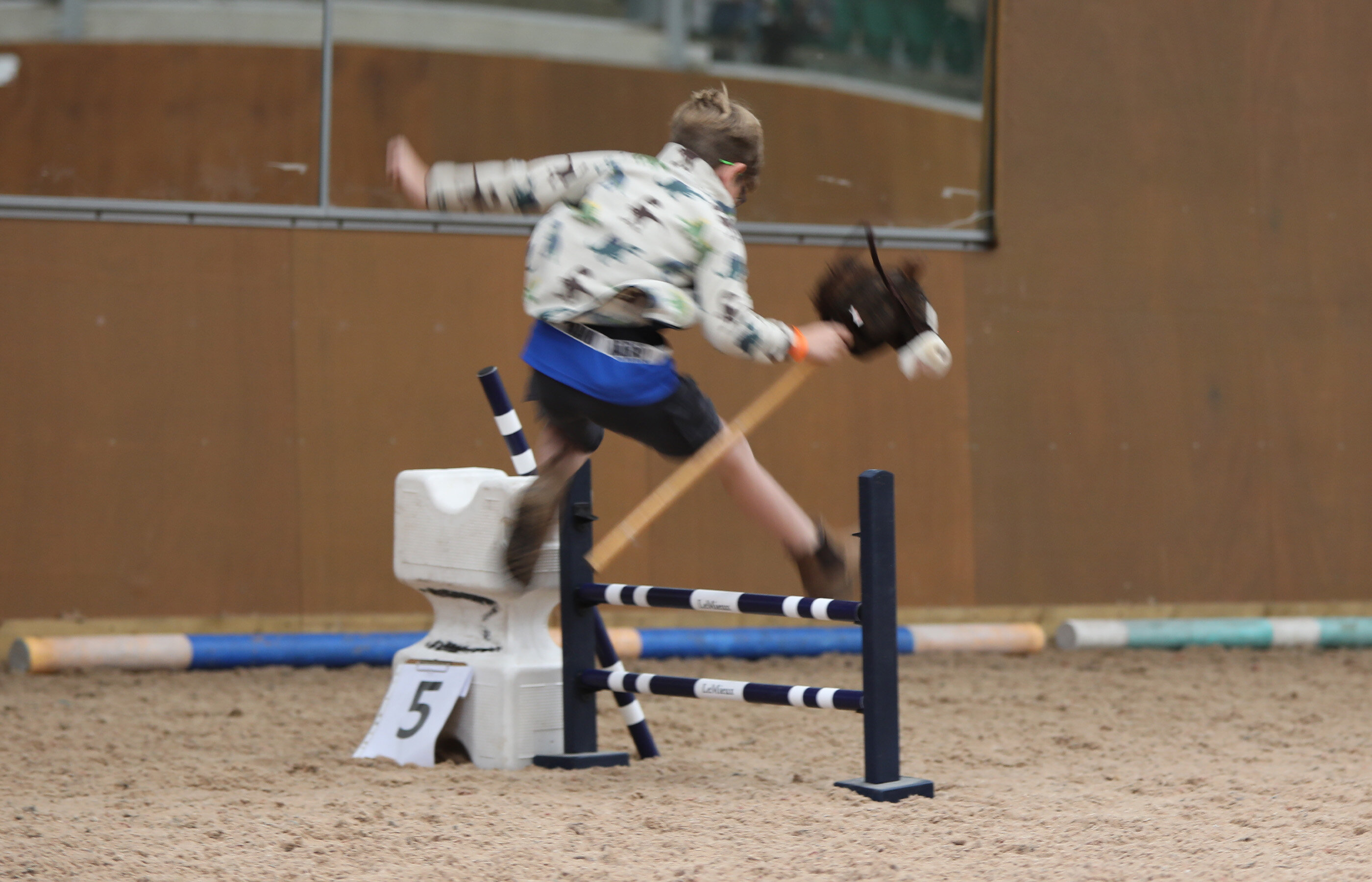 Hobby horse fun