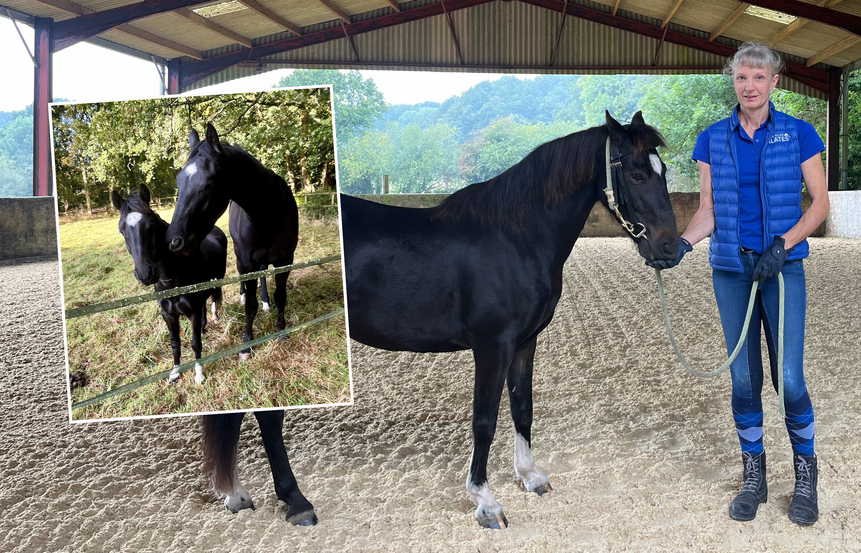 Life beyond rescue: Jimmy