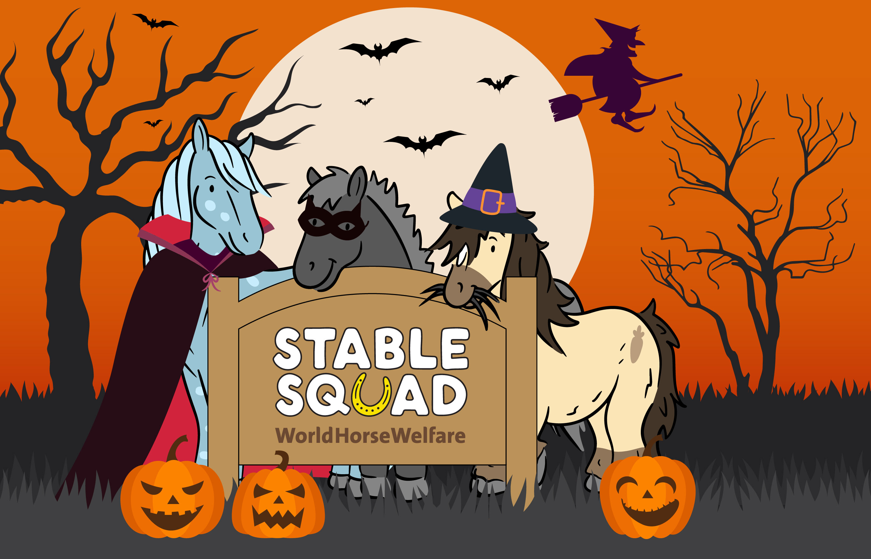 Join our Stable Squad