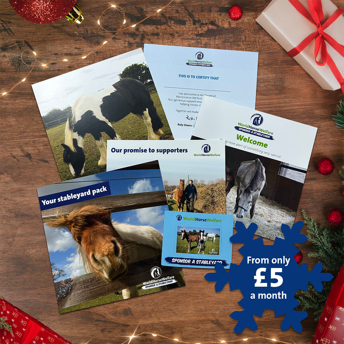 Sponsor a stableyard welcome pack literature