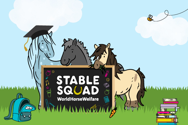 Stable squad