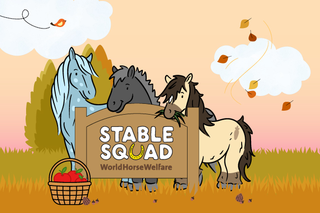 Stable squad