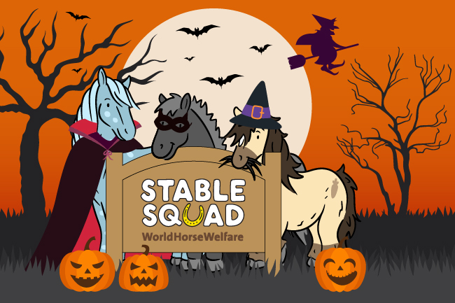 Stable squad