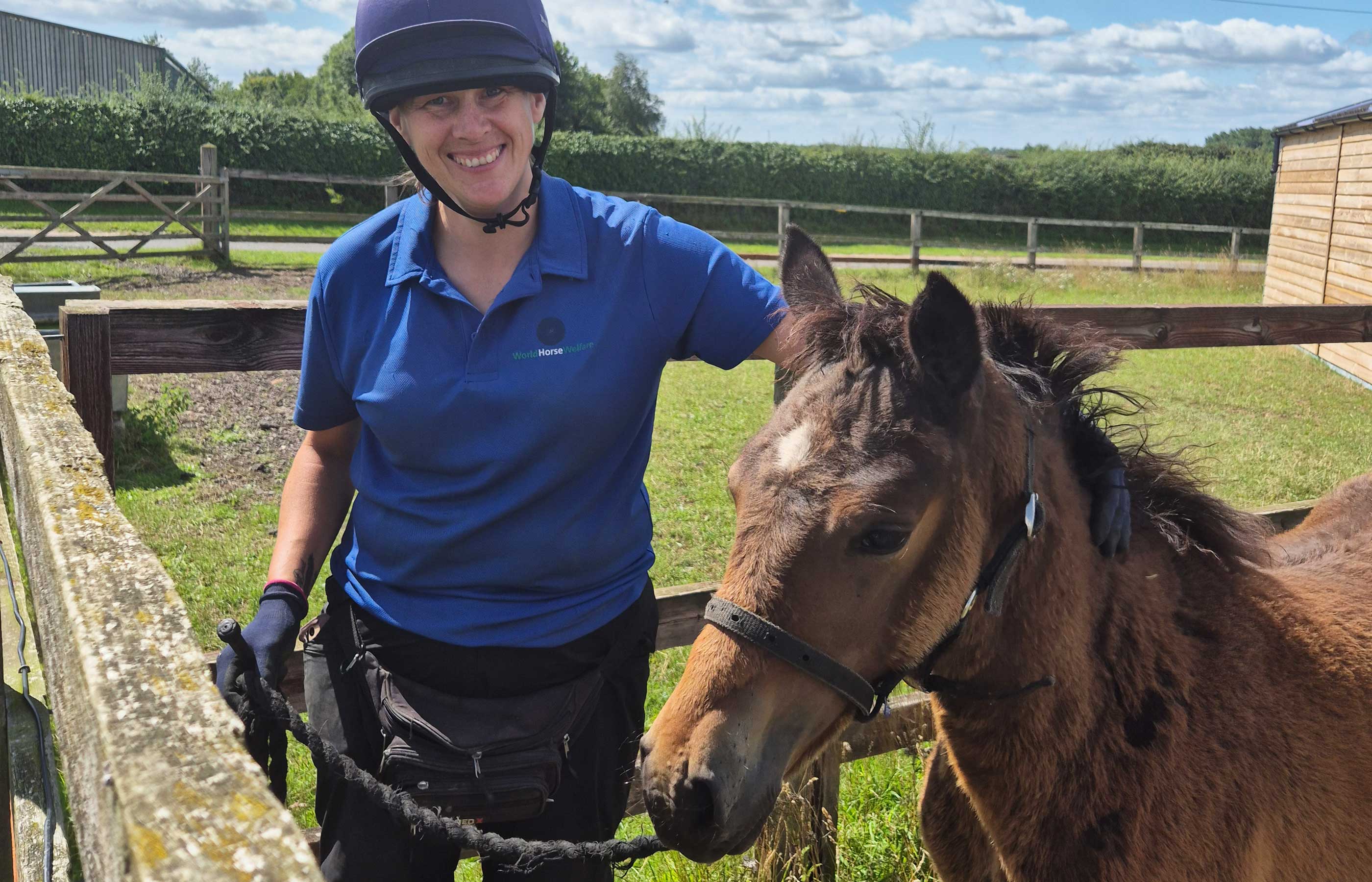 The importance of foals having good experiences from birth