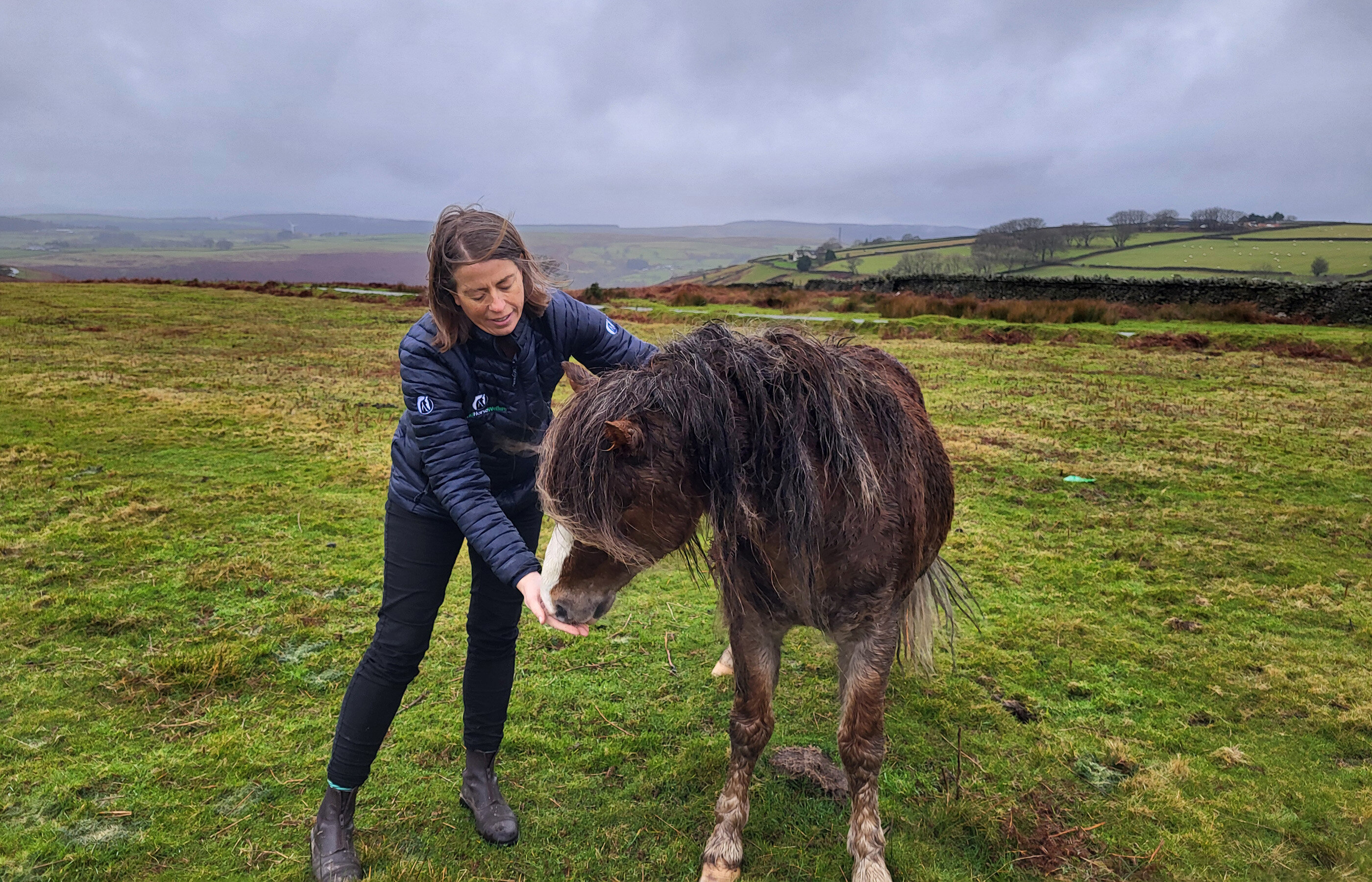 Birth of first foal from rescued ‘smuggled’ Dover 26 horses