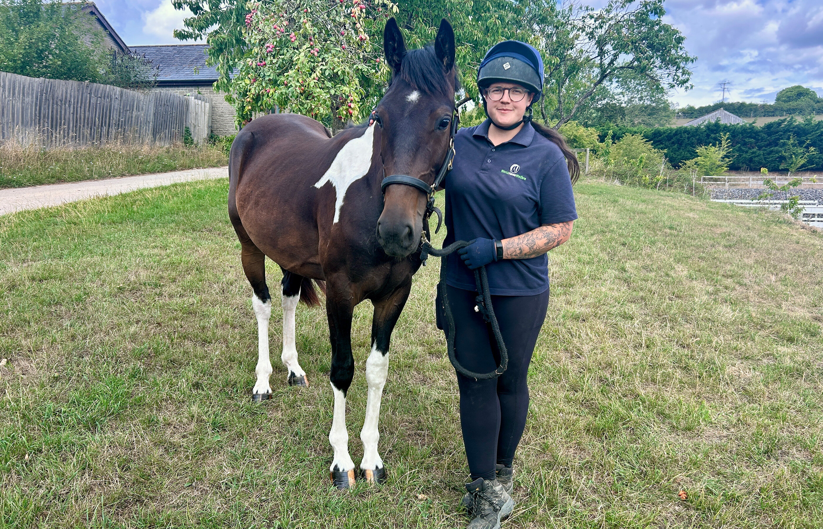 Dumped and used for target practice