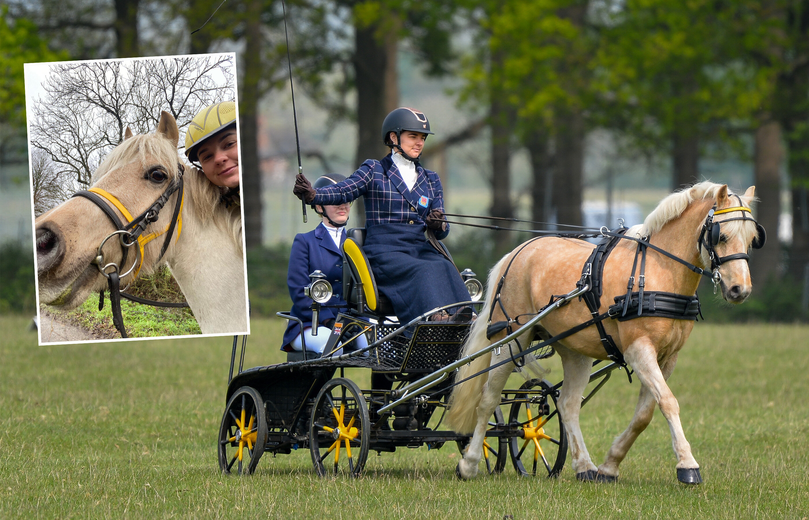 Life beyond rescue: “He’s gone from zero to FEI international 3* hero!”