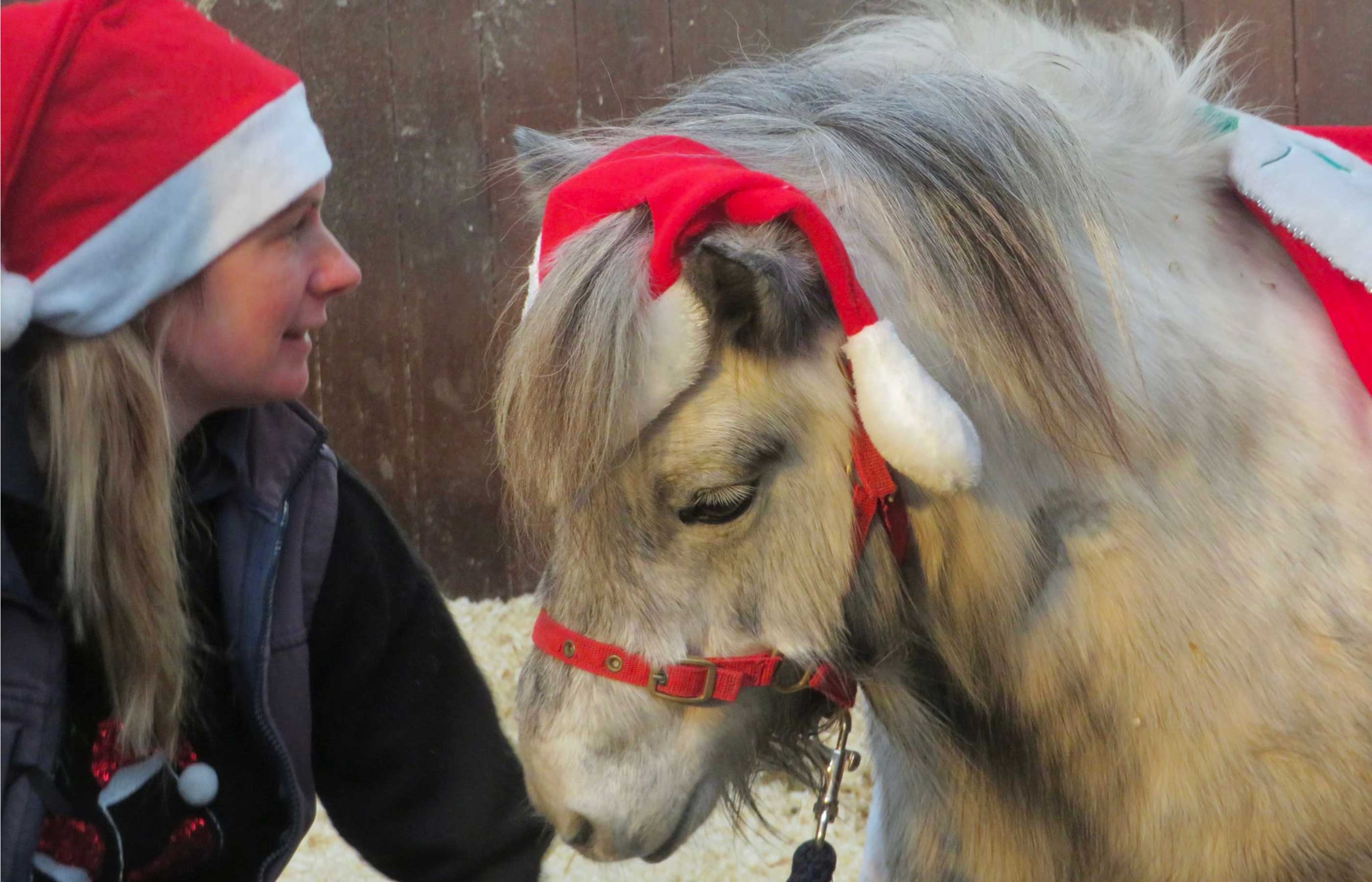 Birth of first foal from rescued ‘smuggled’ Dover 26 horses