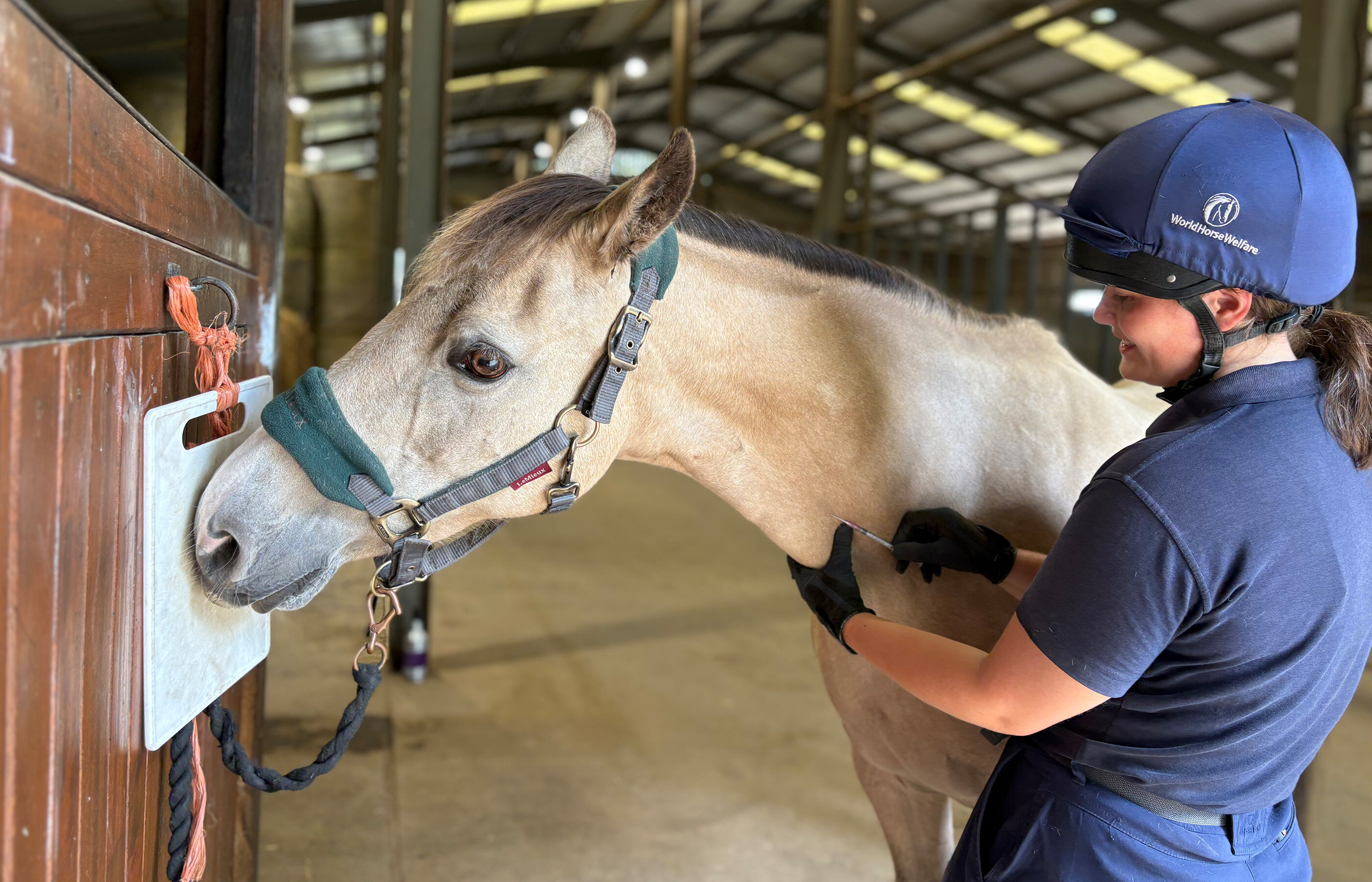 Retraining to build trust and increase confidence