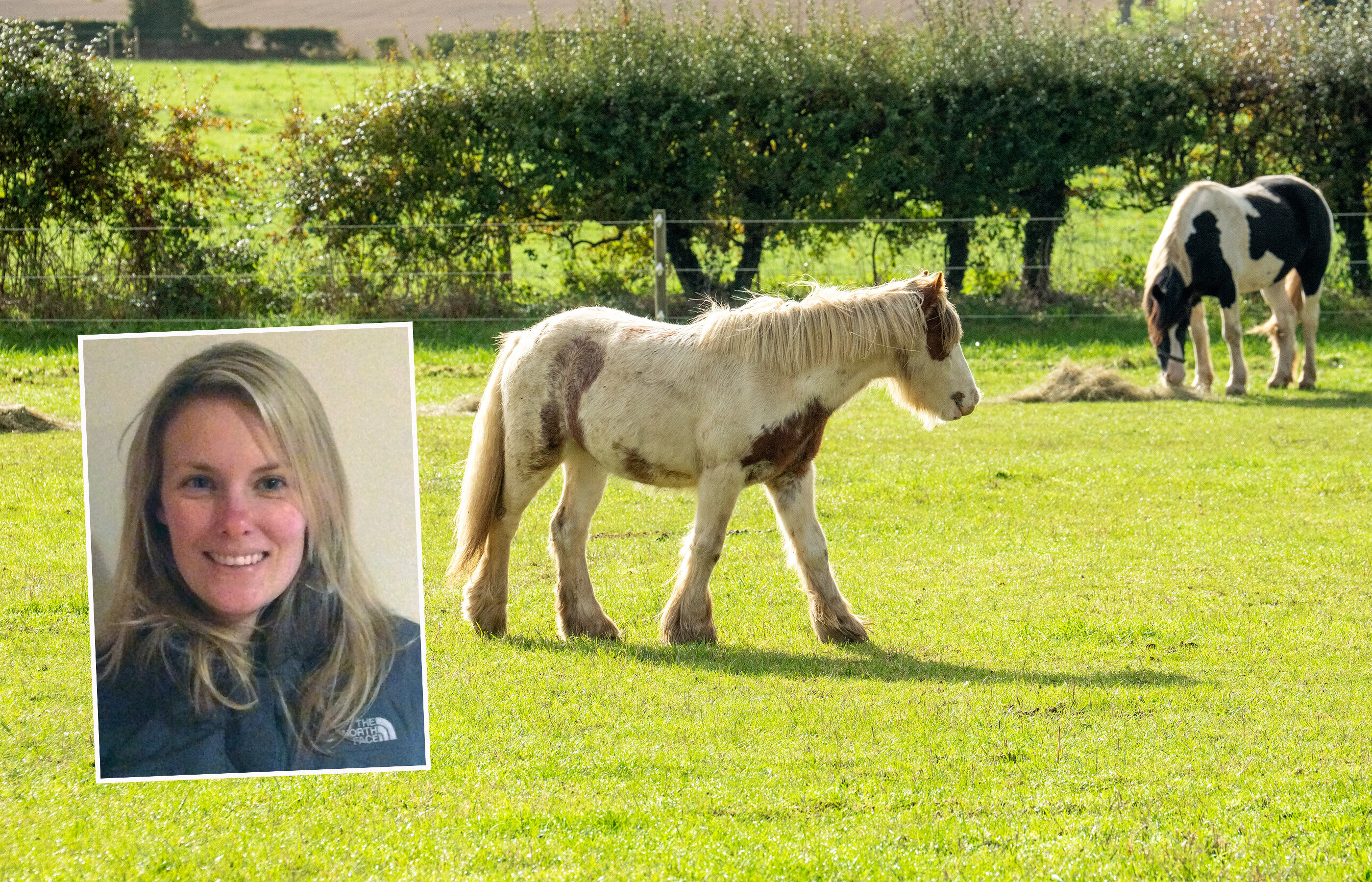 An insight into the role of a Rehoming Officer