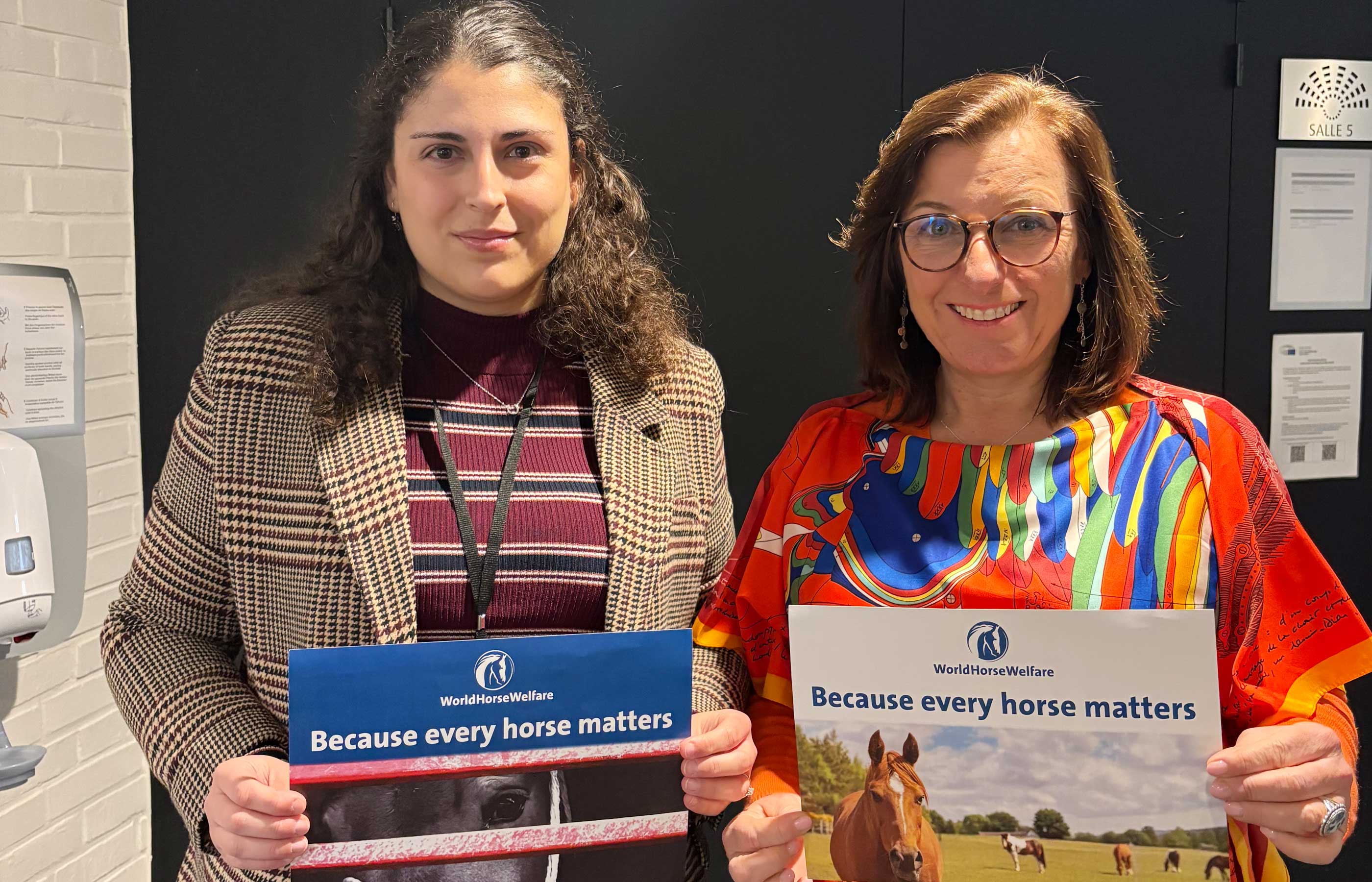 Putting horses at the centre of the political agenda in Europe