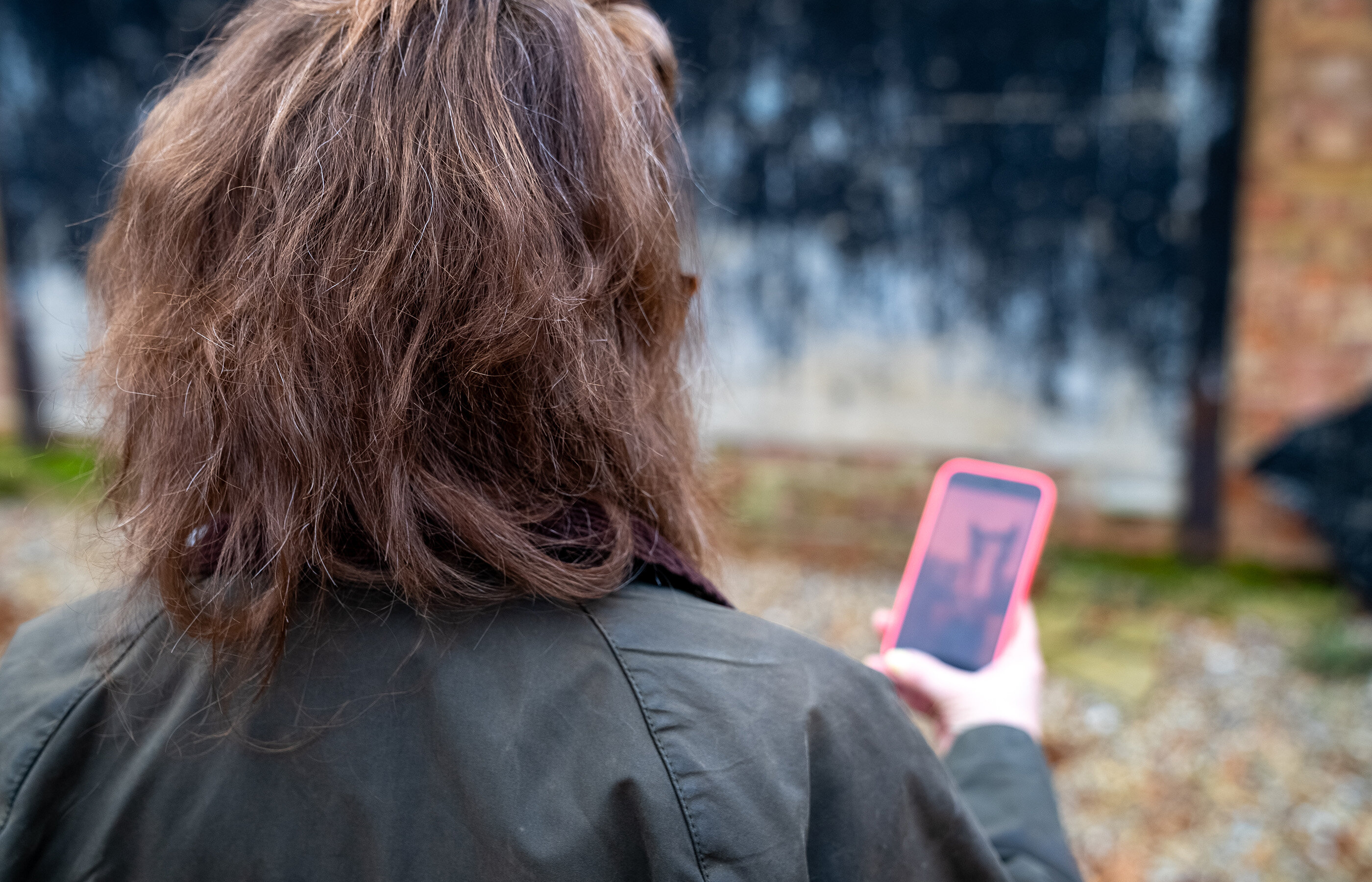 Worried about the welfare of a horse you have seen on social media?