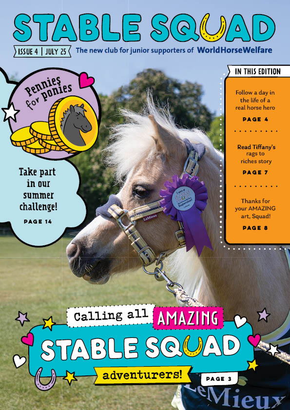 Stable Squad - Edition 4 cover