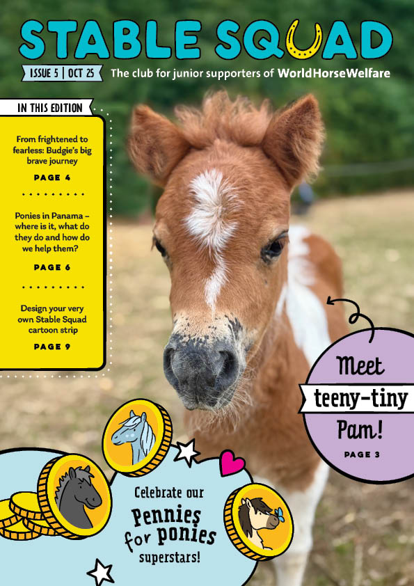 Stable Squad - Edition 5 cover