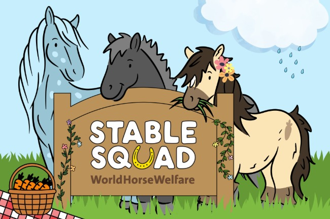 Stable squad