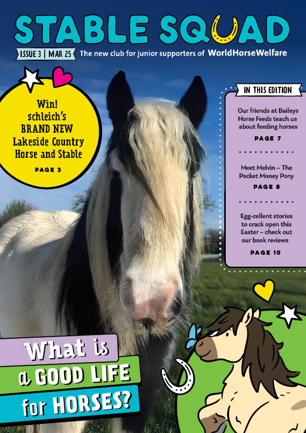 Stable Squad - Edition 3 cover