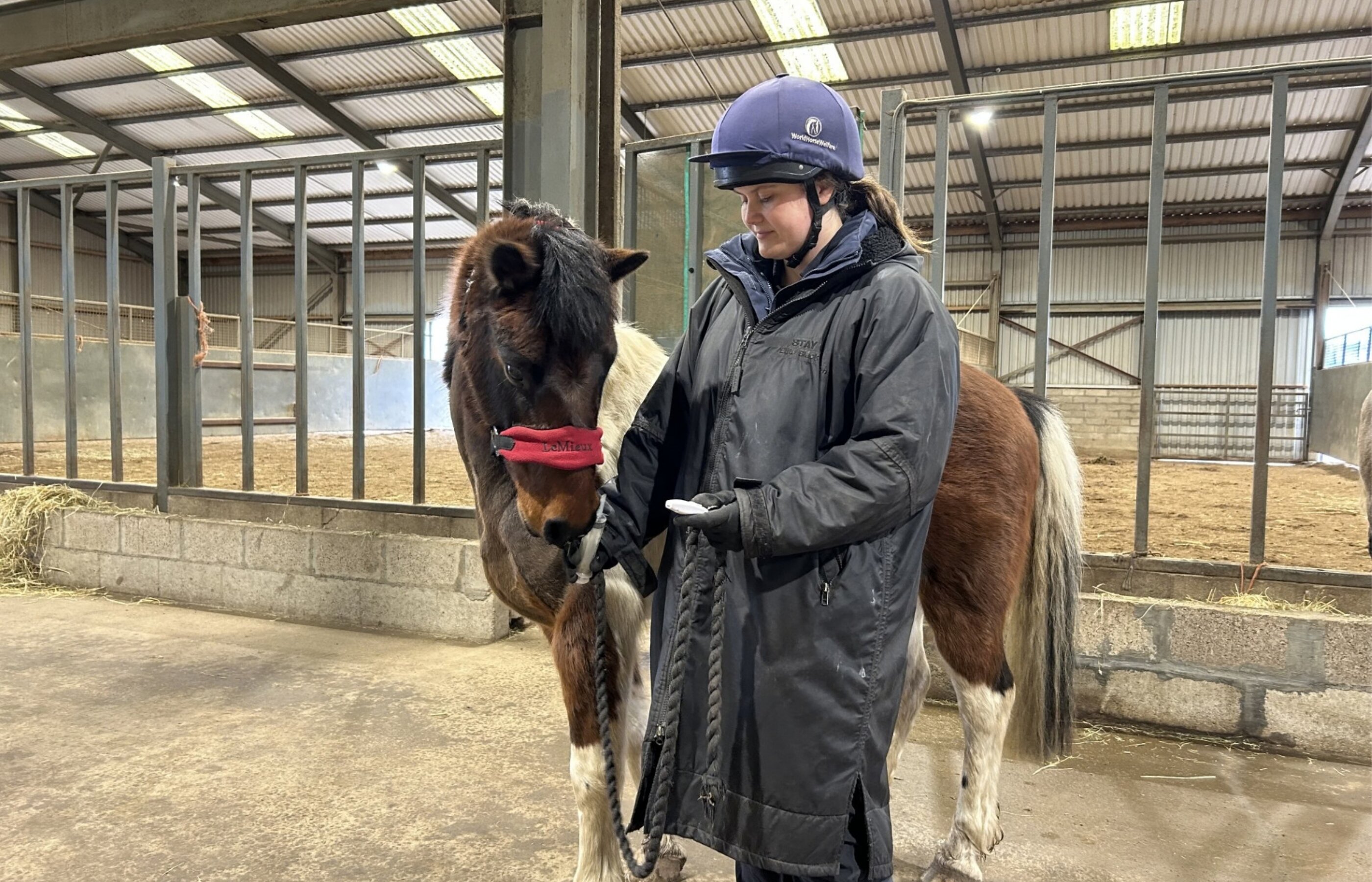 Clicker Training Demonstration and Workshop