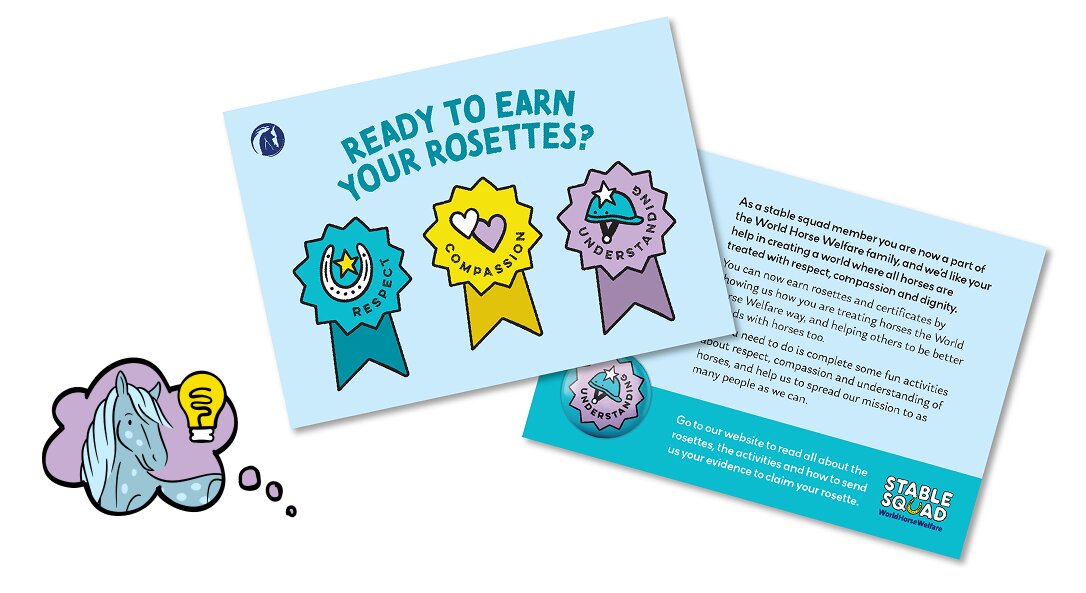 Printed card promoting the Stable Squad rosettes for Respect, Compassion and Understanding.