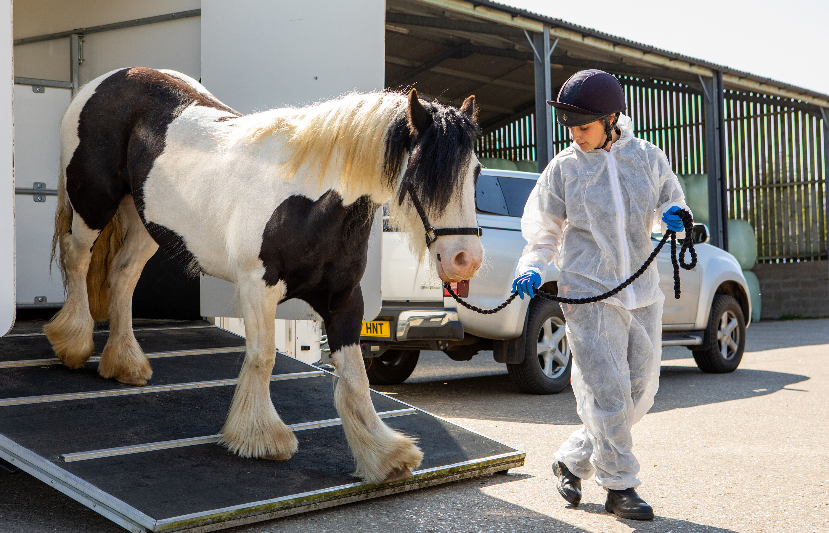 EU-UK reset – will it impact horses?