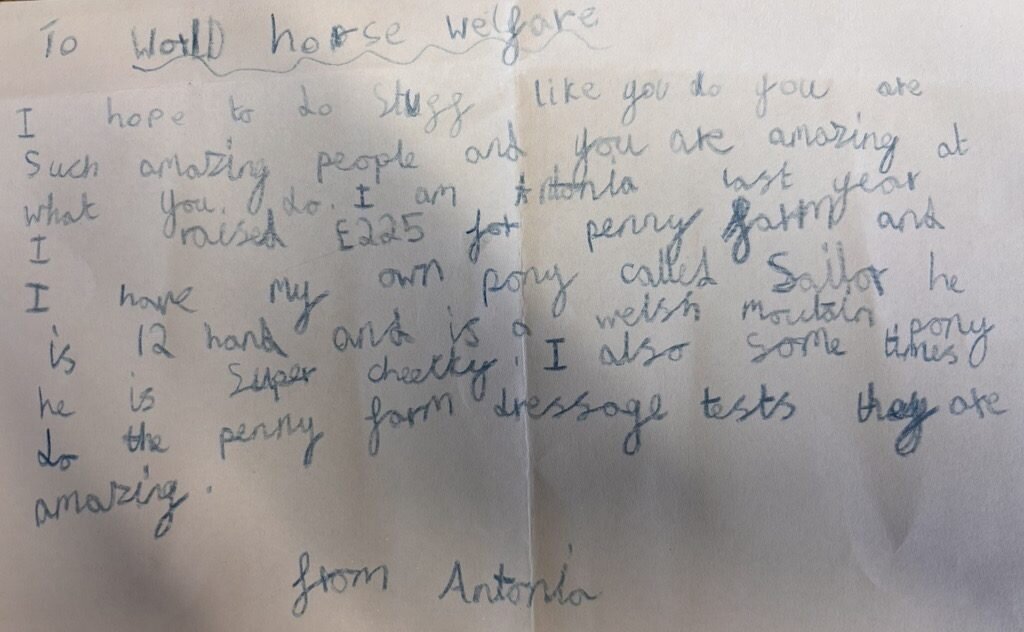 Letter from Stable Squad member Antonia