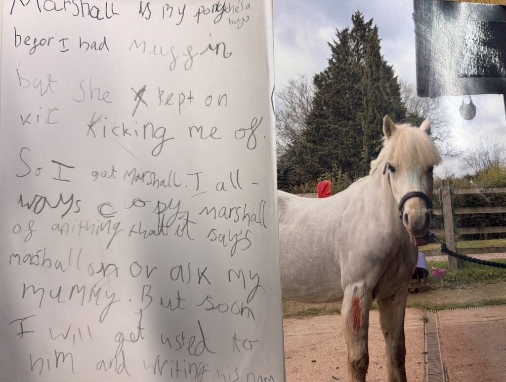 Letter from Stable Squad member Marshall about their pony
