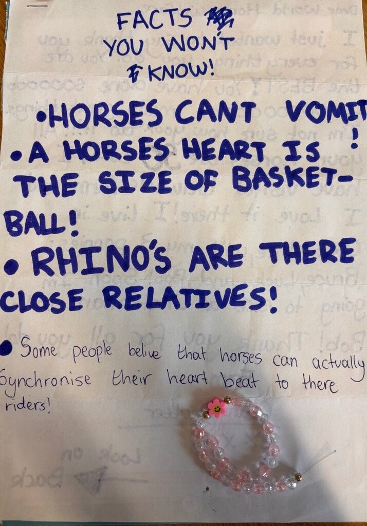 Letter from a Stable Squad member sharing horse facts