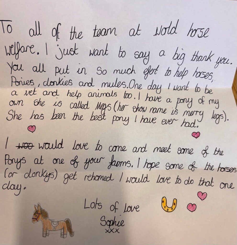 Letter from Stable Squad member Sophie