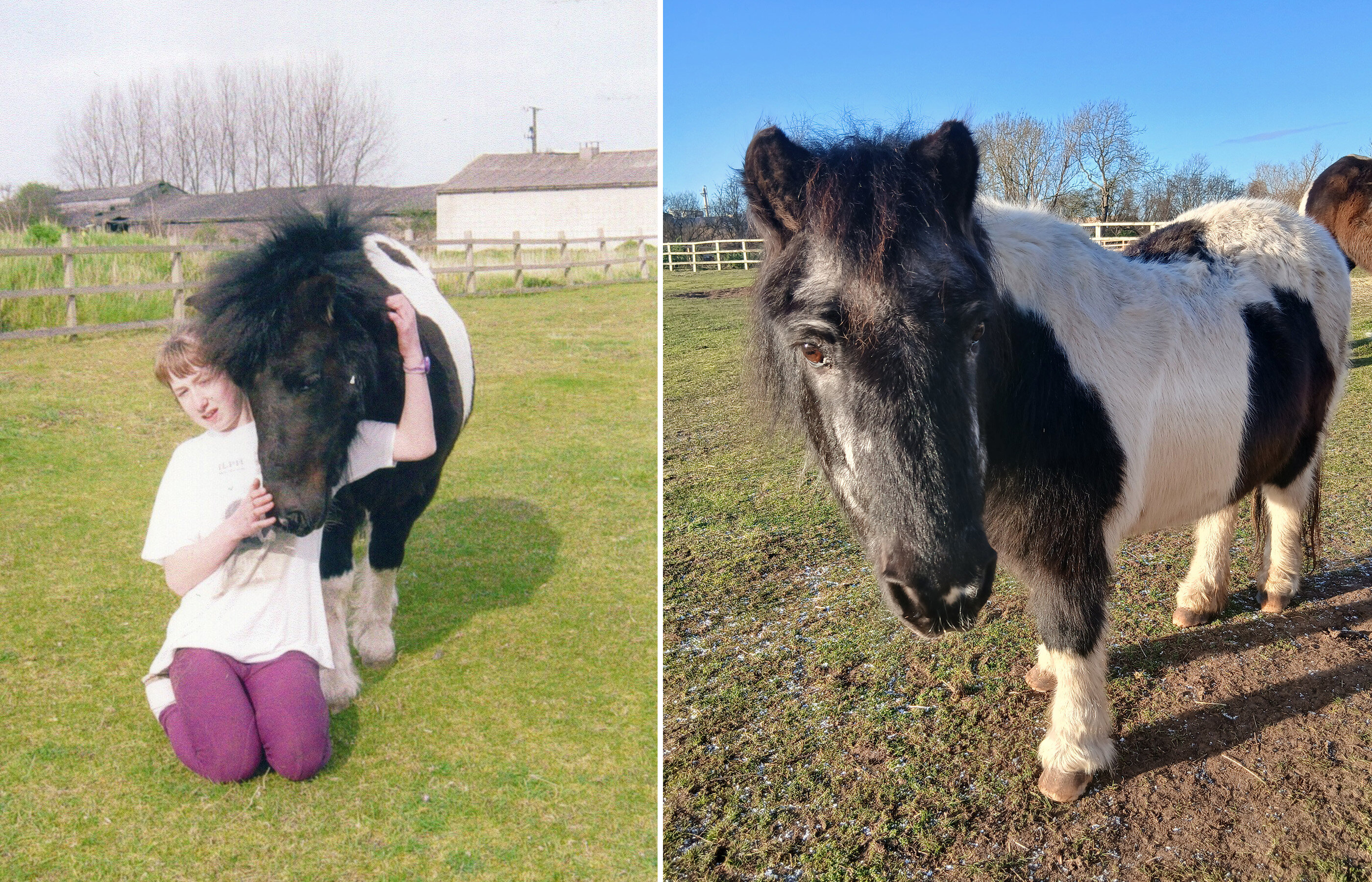 Rescue Stories